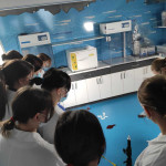 Powiększ zdjęcie Zajęcia w laboratorium CNK 12.10.21 r. - zdjęcie 9