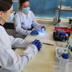 Powiększ zdjęcie Zajęcia w laboratorium CNK 13.10.21 r. - zdjęcie 13
