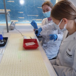 Powiększ zdjęcie Zajęcia w laboratorium CNK 13.10.21 r. - zdjęcie 14
