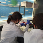Powiększ zdjęcie Zajęcia w laboratorium CNK 13.10.21 r. - zdjęcie 17