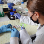 Powiększ zdjęcie Zajęcia w laboratorium CNK 13.10.21 r. - zdjęcie 19