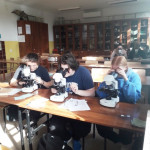 Powiększ zdjęcie Zajęcia laboratoryjne z biologii, grupa 4 - 28 września 2021 r. - zdjęcie 2
