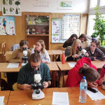 Powiększ zdjęcie Zajęcia laboratoryjne z biologii, grupa 1 - 23 września 2021 r. - zdjęcie 2