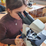 Powiększ zdjęcie Zajęcia laboratoryjne z biologii, grupa 3 - 23 września 2021 r. - zdjęcie 3