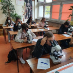 Powiększ zdjęcie Zajęcia laboratoryjne z biologii, grupa 3 - 23 września 2021 r. - zdjęcie 5
