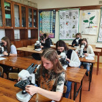 Powiększ zdjęcie Zajęcia laboratoryjne z biologii, grupa 3 - 23 września 2021 r. - zdjęcie 6