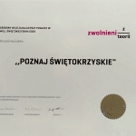 Powiększ zdjęcie Srebrny Wilk - zdjęcie 1