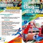 Przejdź do - II charytatywny Bieg dla Ani