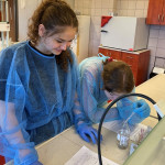 Powiększ zdjęcie Zajęcia w Instytucie Chemii UJK - zdjęcie 6