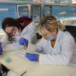 Powiększ zdjęcie Zajęcia w laboratorium CNK 2.11.21 r. - zdjęcie 4