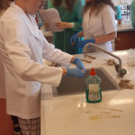 Powiększ zdjęcie Laboratorium chemii na UJK - zdjęcie 9